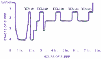  stages of sleep